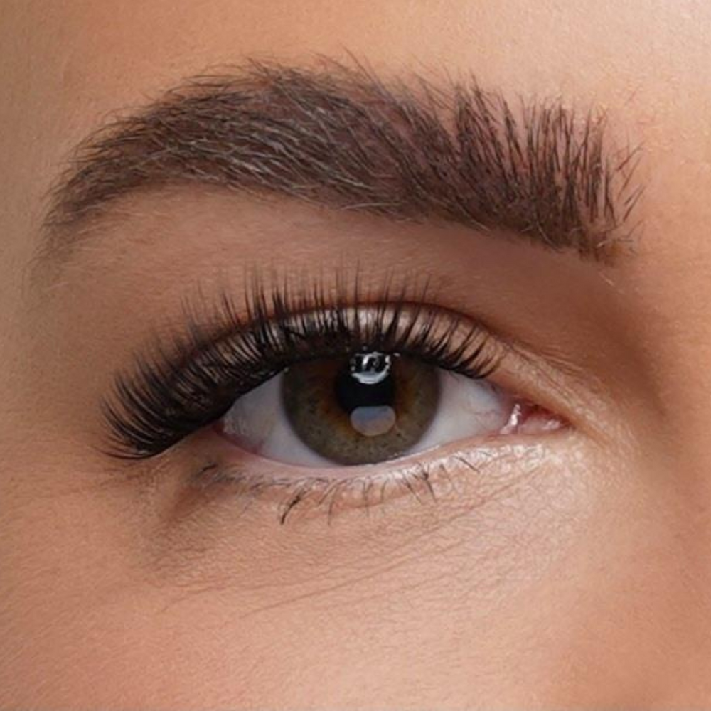 Eye With Attractive Natural Lash Extension