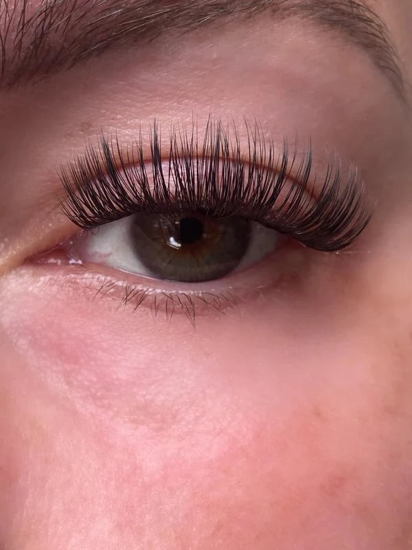 ICONIC Pre-Cut Segment Lashes