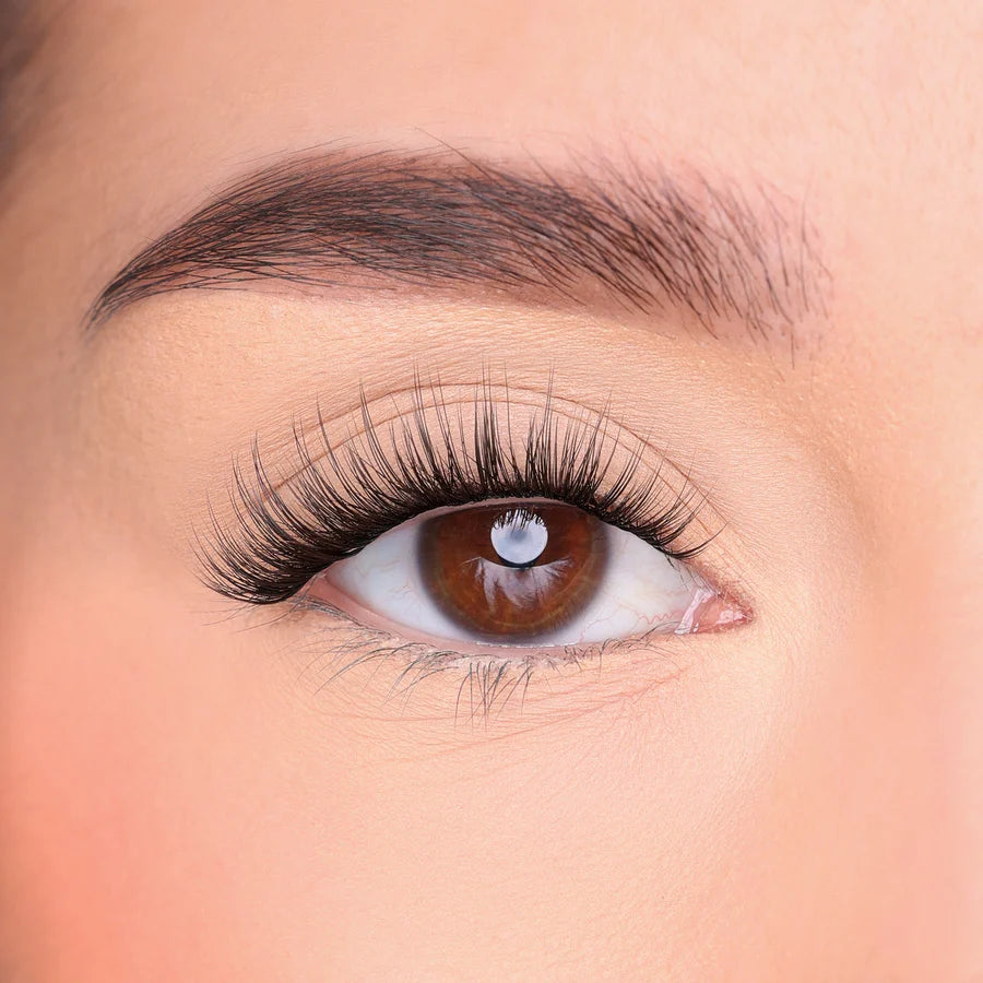 The Classy One Pre-Cut Segment Lashes