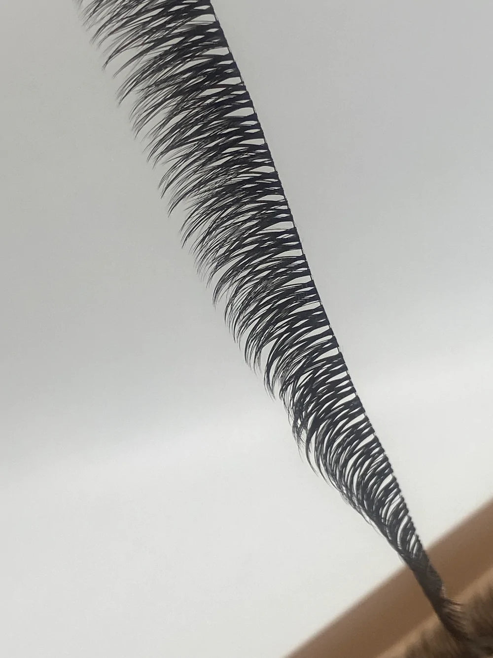 Florence iLash Dubai Custom Length Lashes