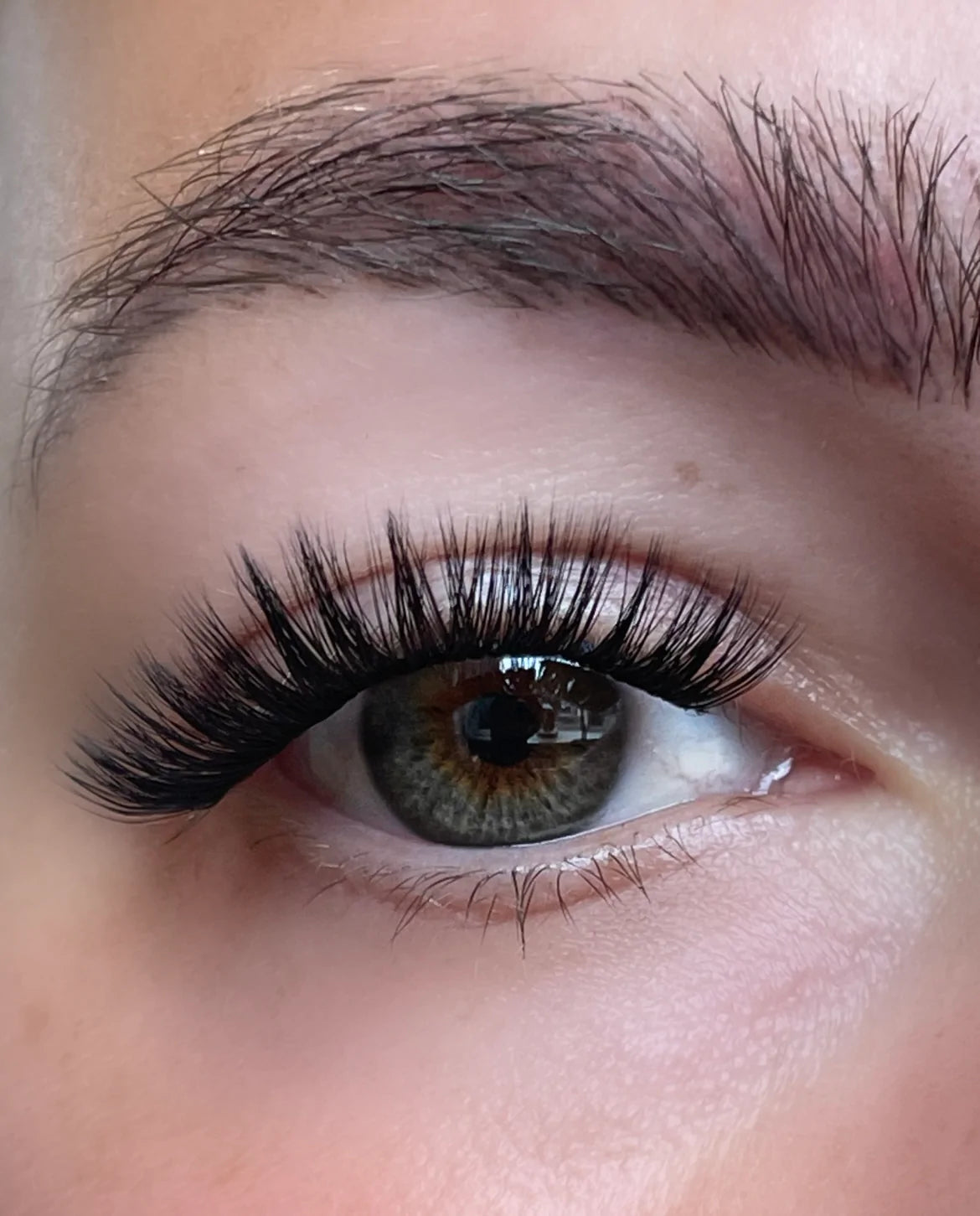 HALLE iLash Dubai CUSTOM LENGTH LASHES